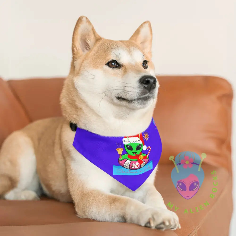 Original Image