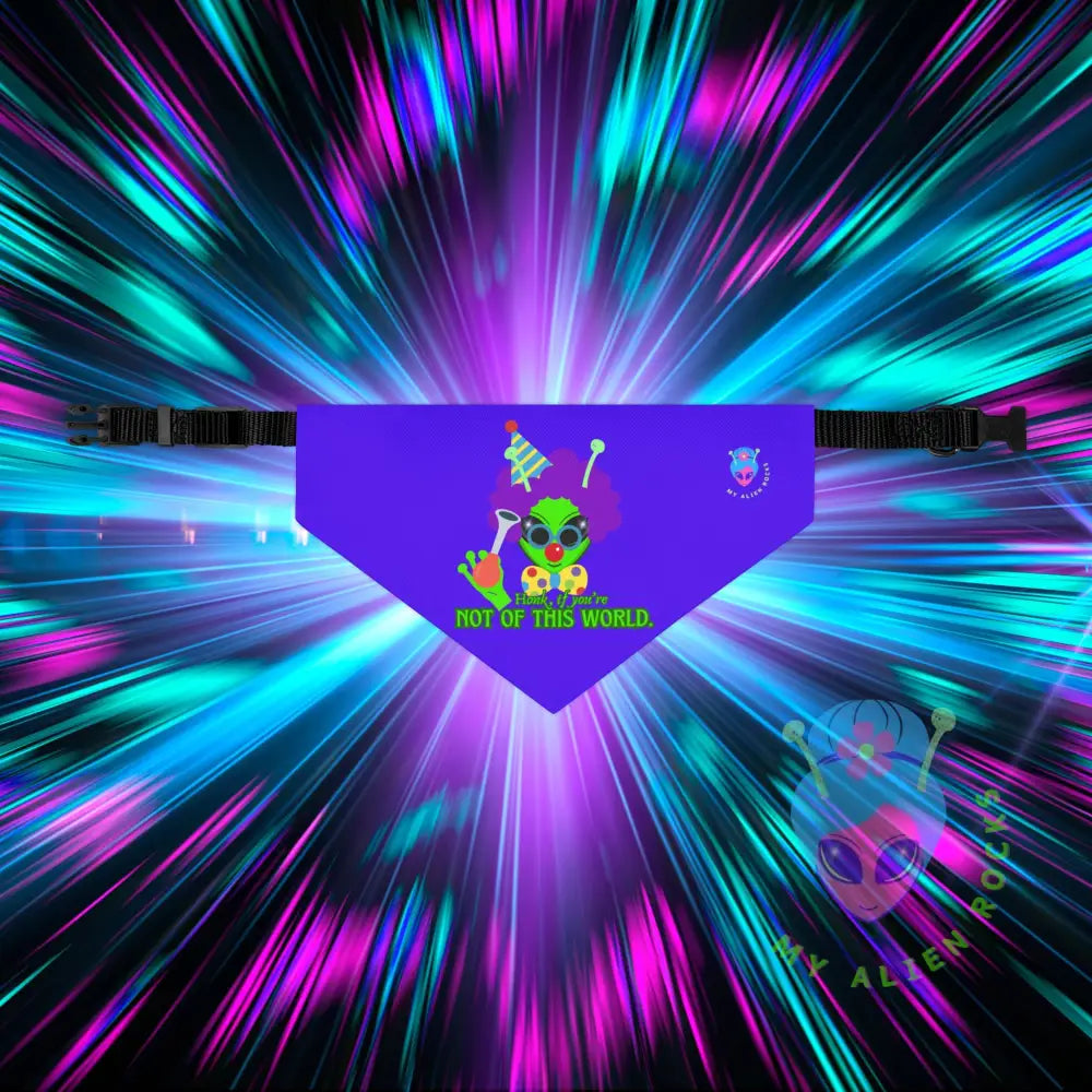 Original Image