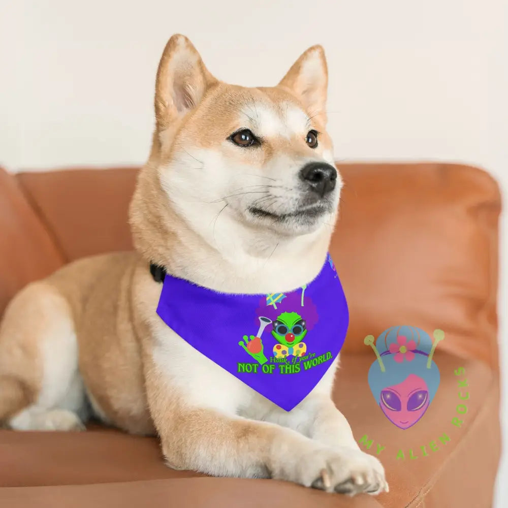 Original Image