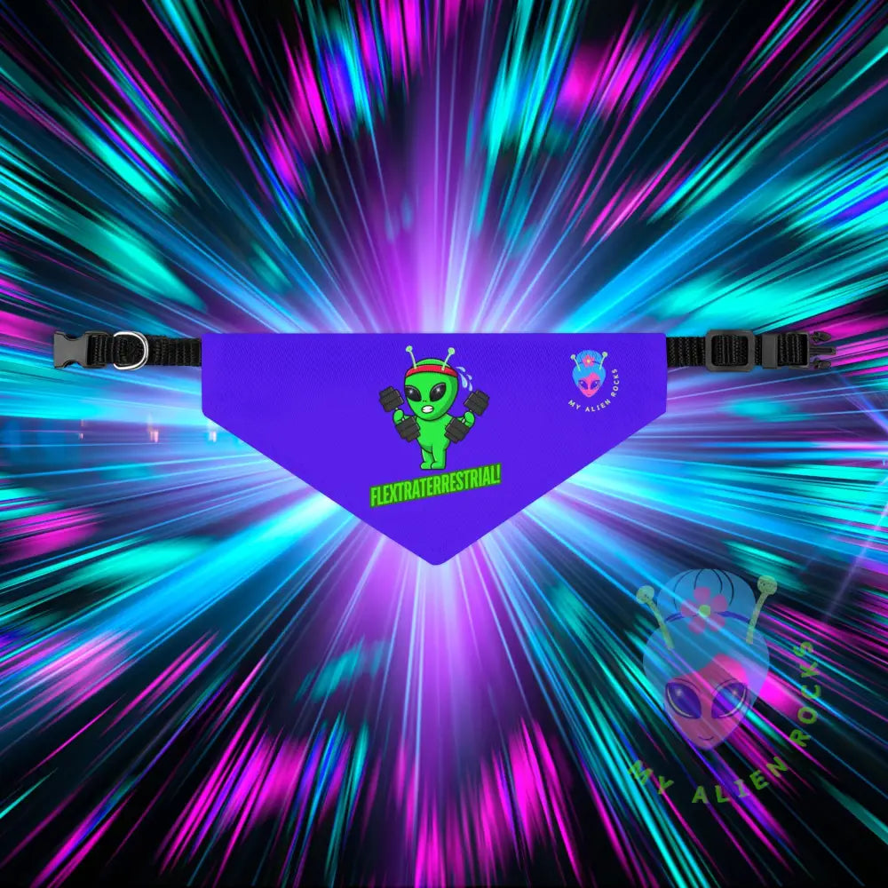 Original Image