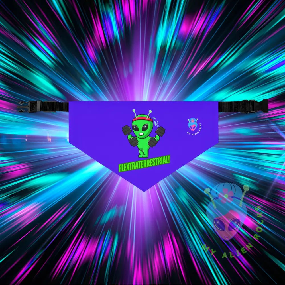 Original Image