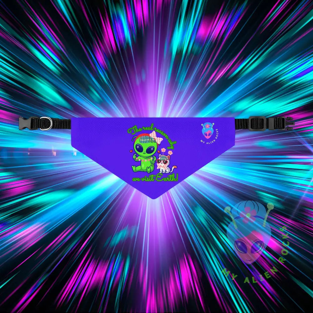 Original Image