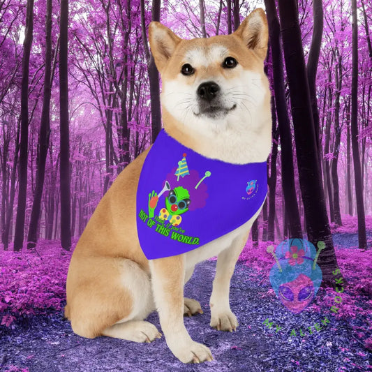 Original Image