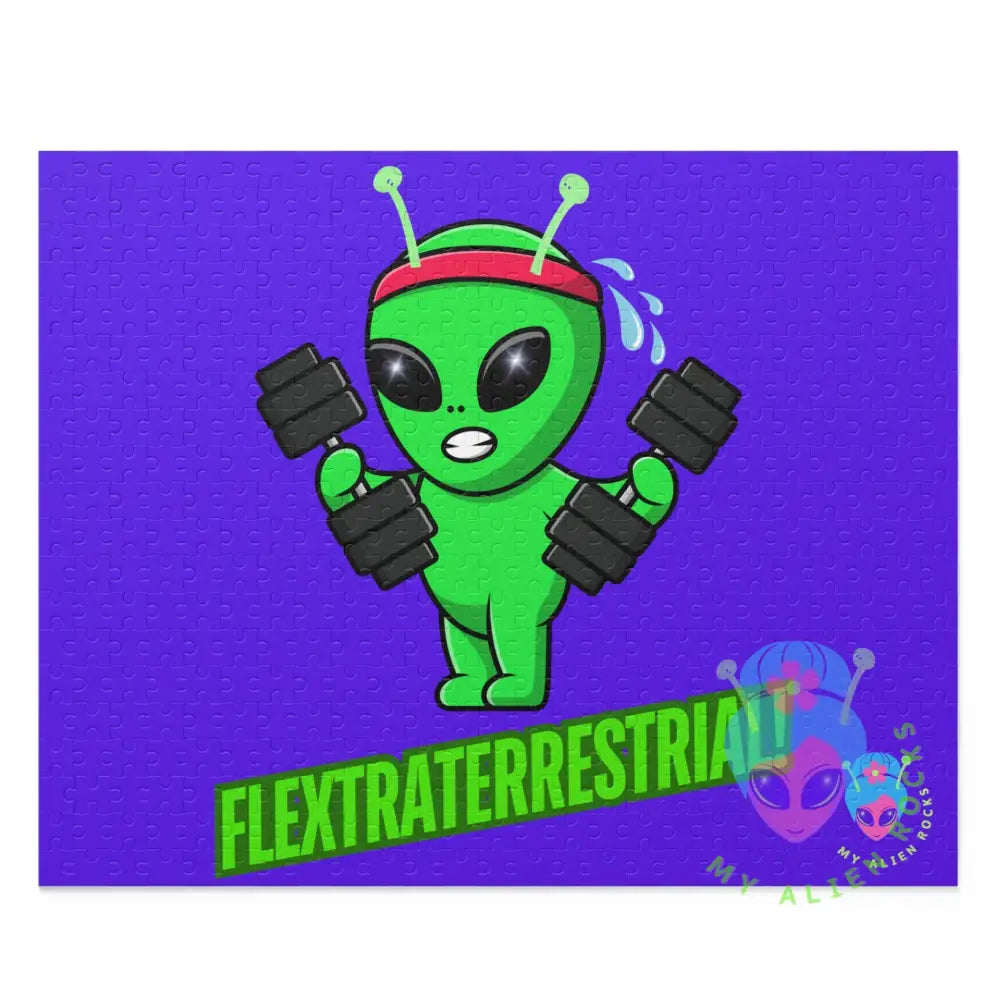 Original Image