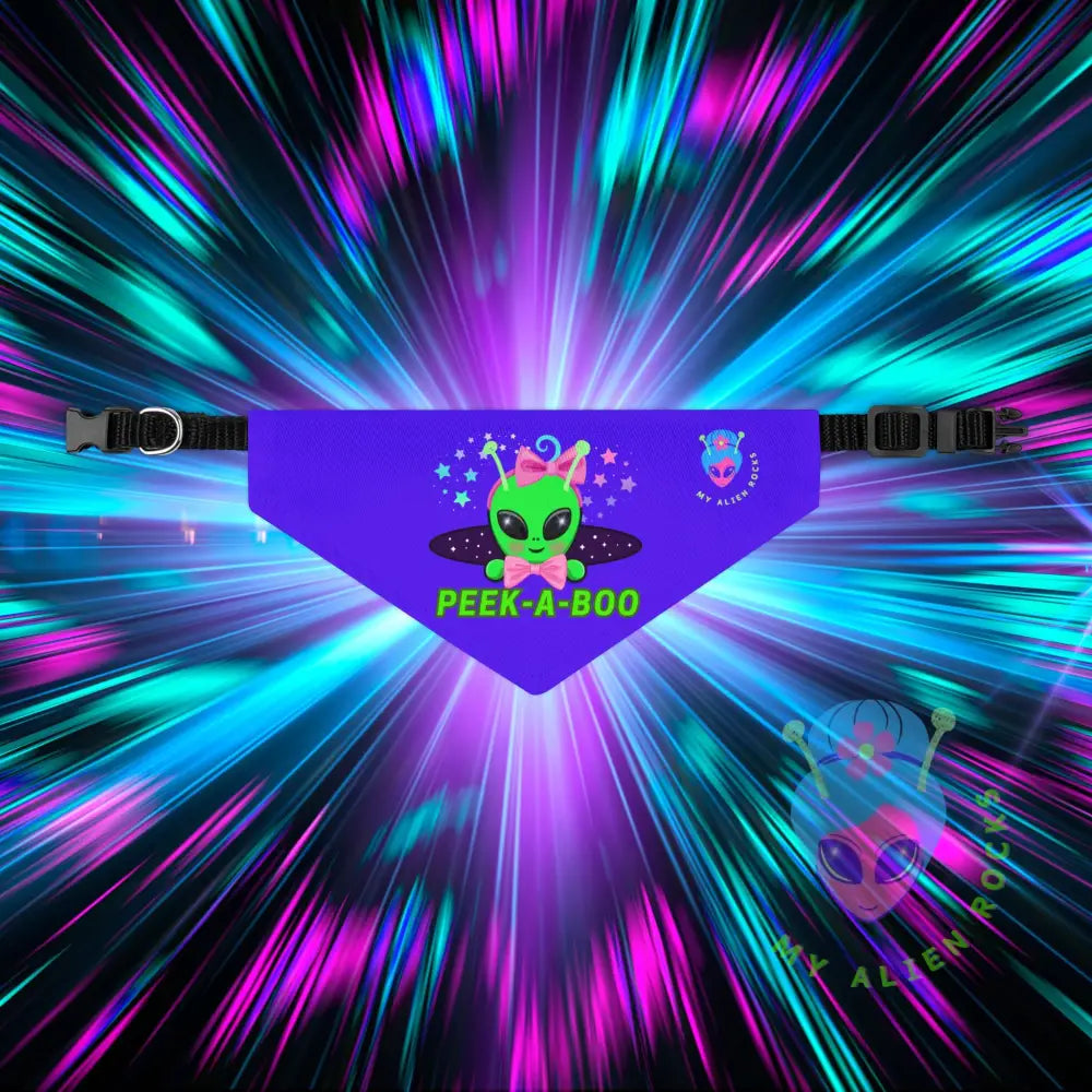 Original Image