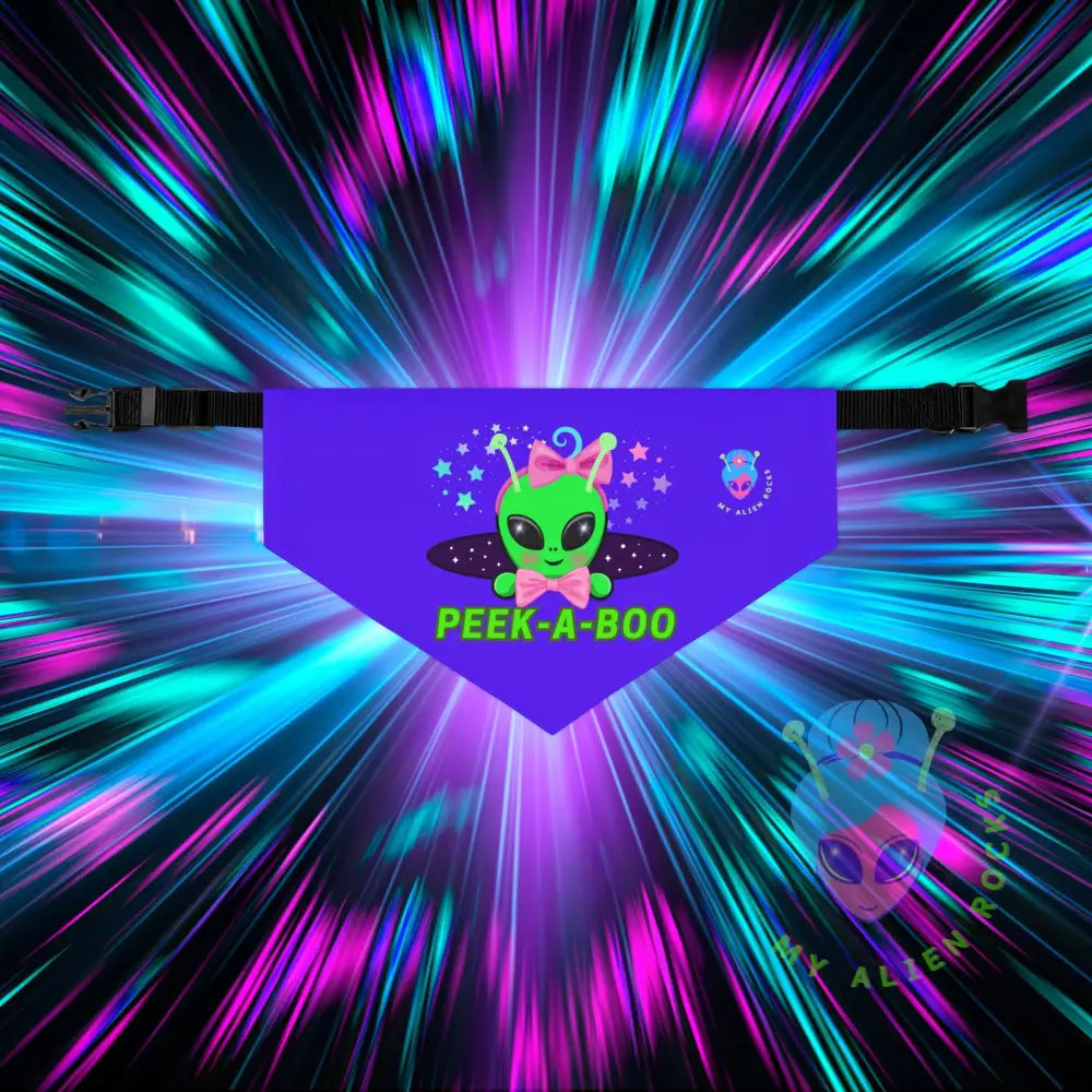 Original Image