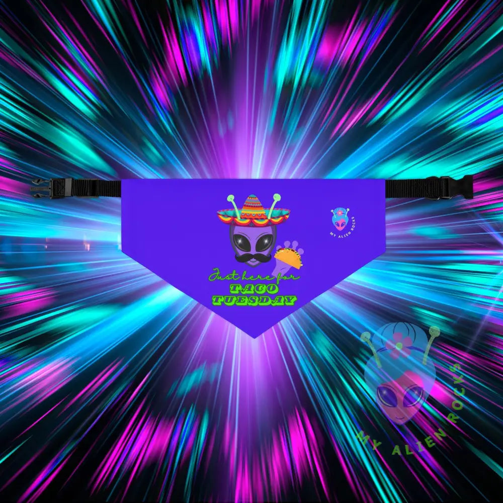 Original Image