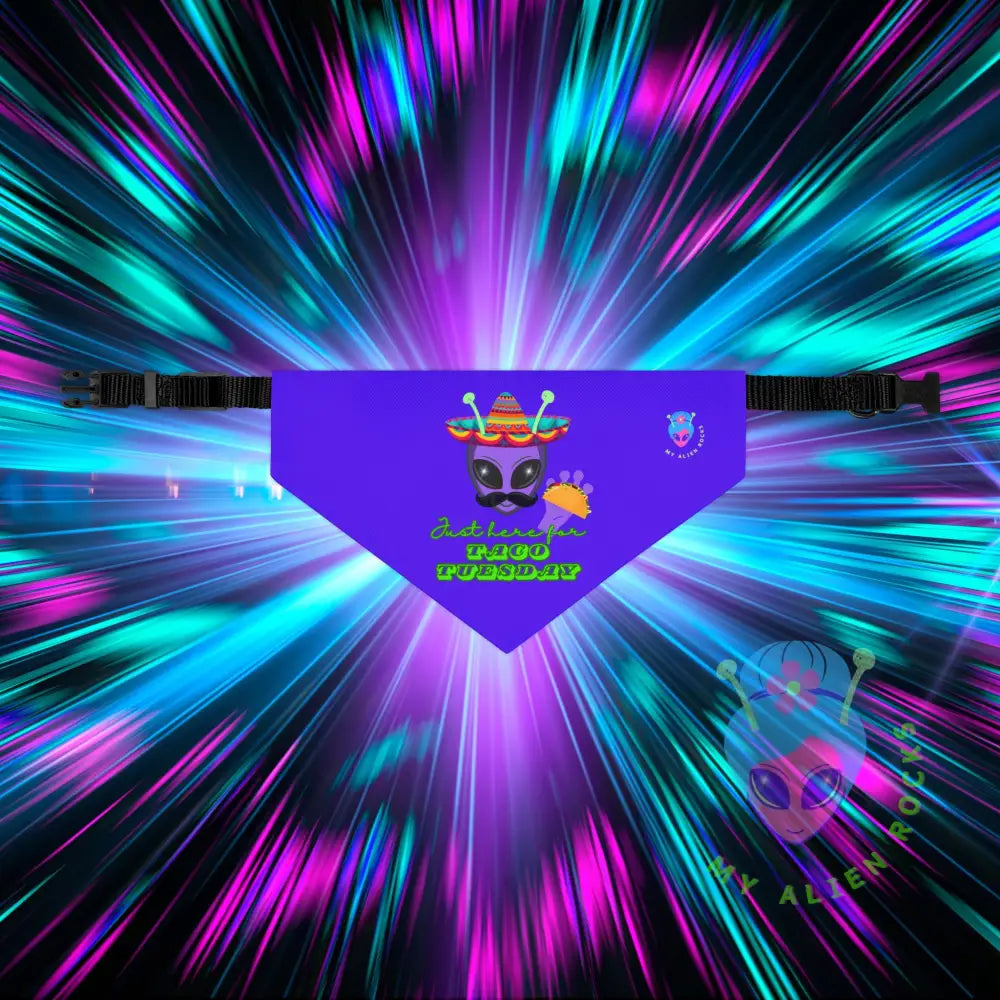 Original Image