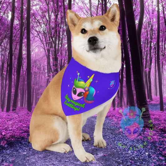 Original Image