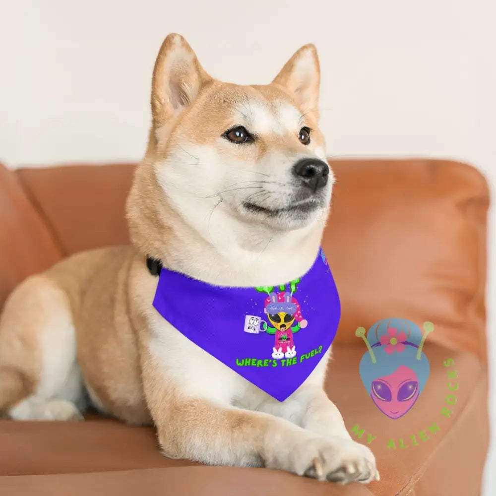 Original Image